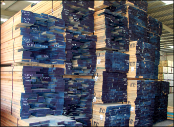 ACME Dubai Gallery Image 24