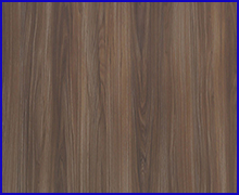 California Elm