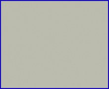 Mysore Ivory