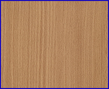 Baverian Beech