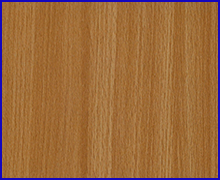 Steam Beech