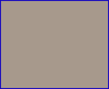 Light Fawn Beige