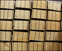 Film Faced (CHAMMISPLEX) Plywood