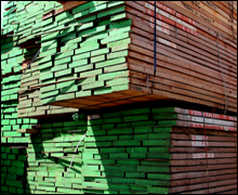 Mahogany Wood