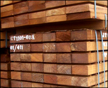 Iroko Wood