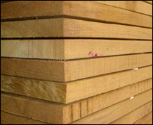 Burma Teak