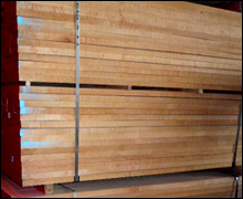 Beach Wood