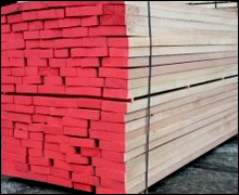 Beach Wood
